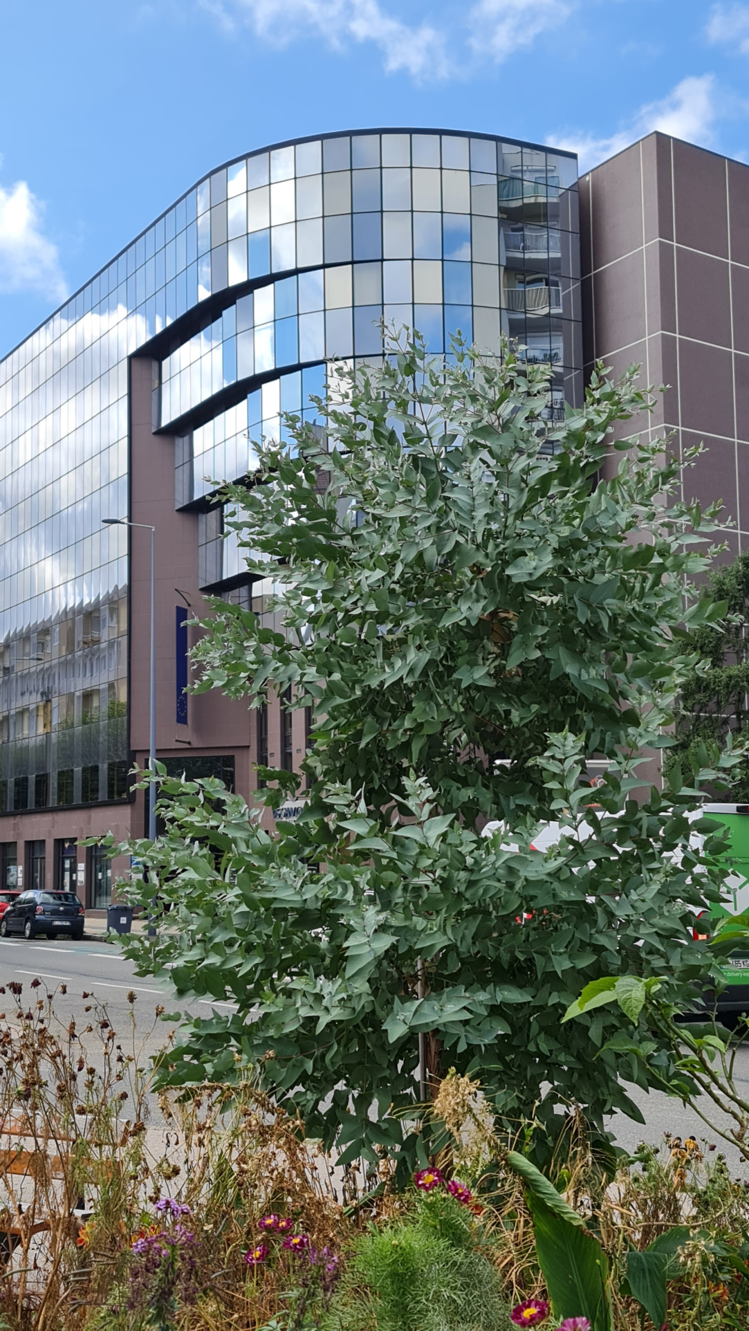 Agence immobilière de Bonnel